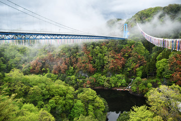 Fototapeta premium 雨上がりの竜神大吊橋