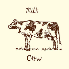 Cow standing side view, hand drawn doodle, sketch in pop art style, vector illustration