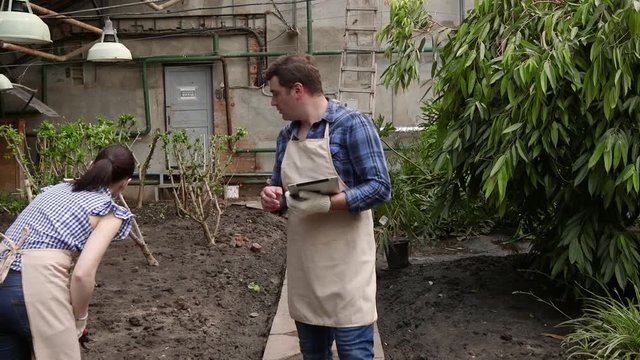 Agronomist man with tablet walks in greenhouse and conducts inspection of growing plants.