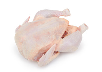 Raw fresh chicken