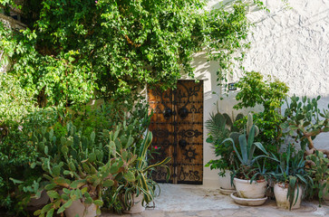 Fototapeta na wymiar Garden and authentic passage in Tunisia - Hammamet Tunisia