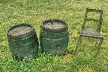 Dwie stare drewniane beczki i krzesło w ogrodzie winiarza