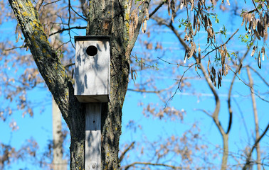 birdhouse for birds on a tree