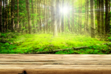 Table background of free space for your decoration and summer forest background 