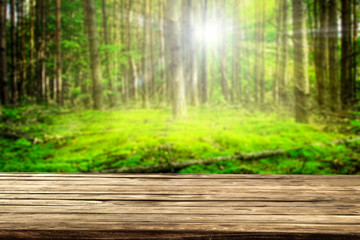 Table background of free space for your decoration and summer forest background 
