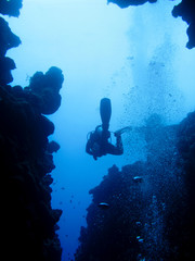 Diver silhouette at an underwater canyon in Dahab, Egypt