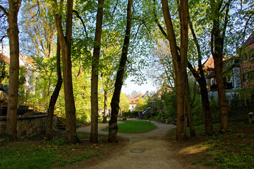 beautiful colors of nature in the spring Park