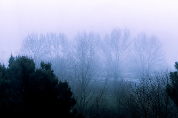 Obraz na płótnie Canvas Mysterious sunrise with fog, beautiful colors