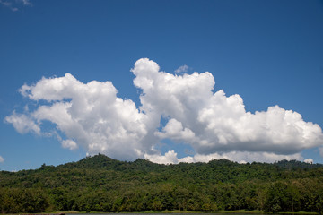 Obraz premium blue sky and clouds above tropical rainforest