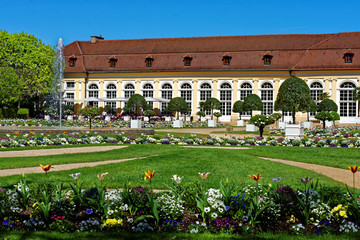beautiful colors of nature in the spring Park