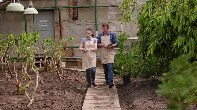Agronomist man with tablet conducts inspection of growing plants in greenhouse with woman gardener.