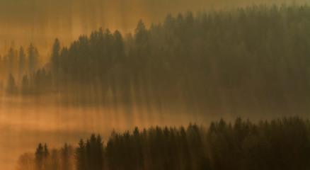 Fototapeta na wymiar Rays of sun in the fog