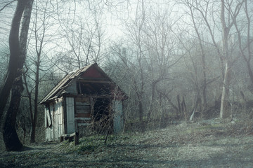 Old wooden hut ruins in foggy wood, spooky landscape