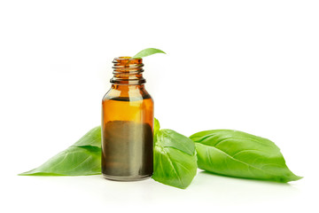 Basil essential oil. A bottle with fresh basil leaves on a white background with a place for text
