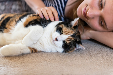 Closeup of happy calico cat lying on carpet floor with woman owner petting hand touching fur in home house room eyes