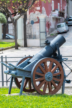 Cannone