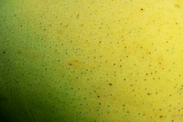 texture of mango