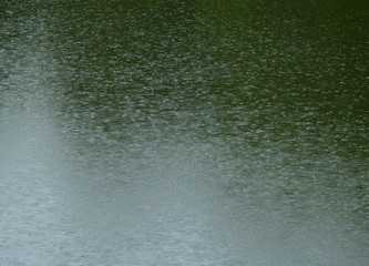 Fototapeta na wymiar rain drop fall on water in the pond