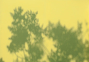 Fototapeta na wymiar shadow of leaf on yellow wall background