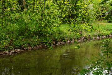 beautiful colors of nature in the spring Park