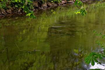 beautiful colors of nature in the spring Park