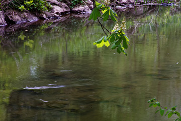 beautiful colors of nature in the spring Park
