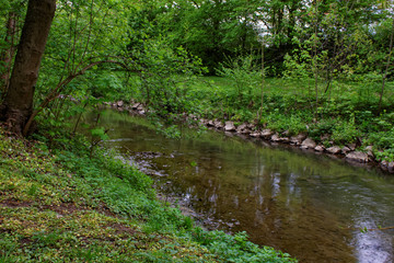 beautiful colors of nature in the spring Park