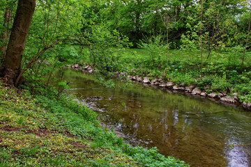 beautiful colors of nature in the spring Park