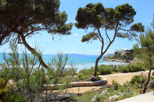 sea and pine trees on the Costa Dorada, Salou