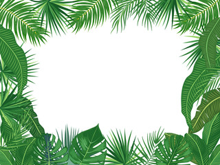 Fototapeta premium Vector tropical jungle frame with palm trees and leaves on white background
