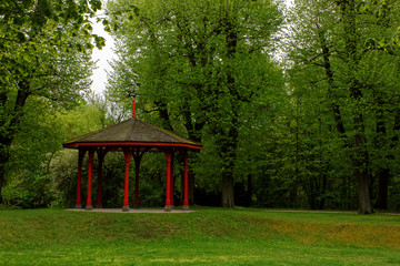 beautiful colors of nature in the spring Park