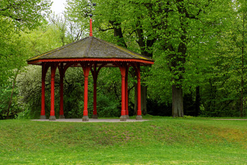 beautiful colors of nature in the spring Park