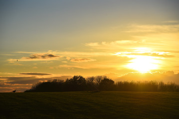 Fototapeta na wymiar Sunsett over field