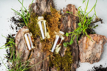  Flat lay composition with three glass bottles of body care organic cosmetics with oil frangipani, sandal wood, patchouli over Natural background of tree bark, moss and grass on light  surface 