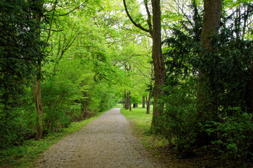 beautiful colors of nature in the spring Park