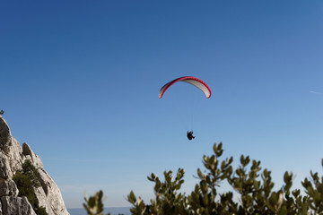 Parapentiste