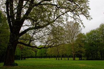 beautiful colors of nature in the spring Park