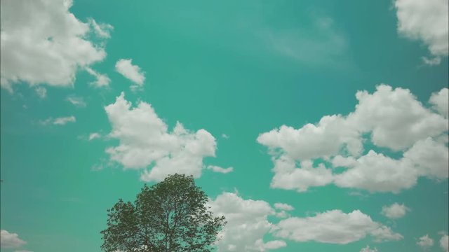 Video Time Lapse The movement of beautiful clouds, the background with the sky decorated with beautiful colors and trees in the scene, this video is suitable for advertising.