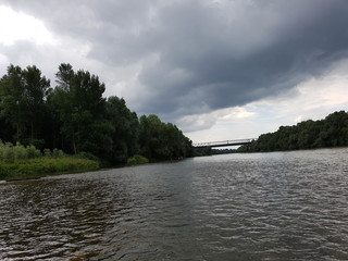 france food festival animals gourmet