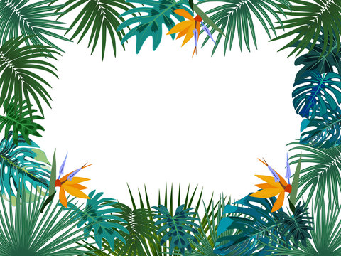 Vector tropical jungle frame with palm trees and leaves