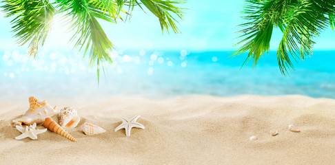 Fototapeta na wymiar Seashells in the sand. Coconut palms on a tropical beach. 
