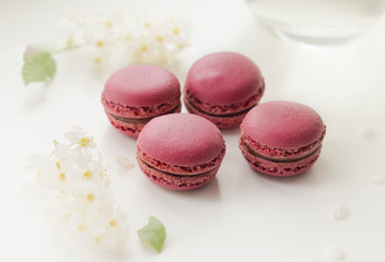 purple macaroons with chocolate filling lying among white flowers on a white background