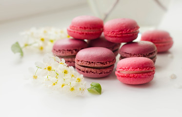 Obraz na płótnie Canvas small macaroon cakes (pink and purple) lie on a white background, decorated with natural white flowers; side view