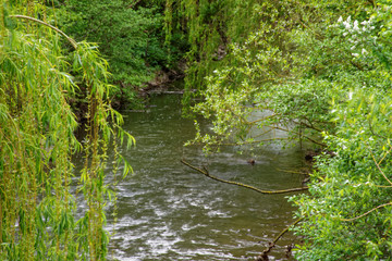 beautiful colors of nature in the spring Park
