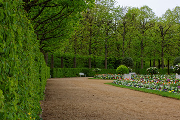 Fototapeta premium beautiful colors of nature in the spring Park