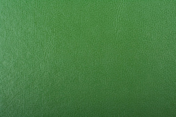 Close-up texture of Green backgrounds.