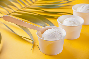 Row of vanilla ice cream and palm leaf on the yellow background