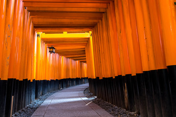 Fototapeta premium Landmark of Kyoto, Torii gates of Fushimi Inari Shrine in Kyoto, Japan