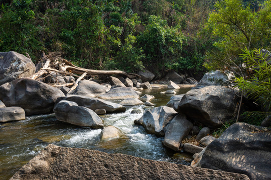 Natural river in the forest with rocks landscape view