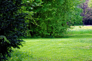 beautiful colors of nature in the spring Park